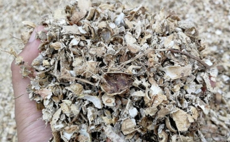 為什么有人愿意花錢買生物質(zhì)燃料顆粒機(jī)來加工稻殼花生殼呢？有必要嗎？