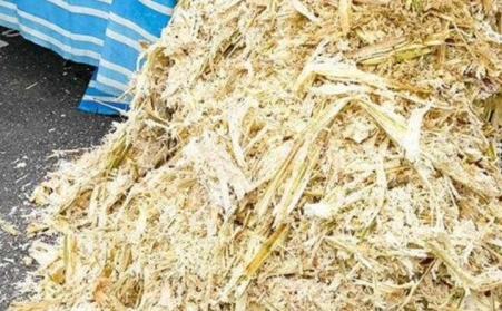 甘蔗渣想廢物利用？可以考慮生物質(zhì)顆粒機(jī)！